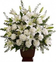 Category Image