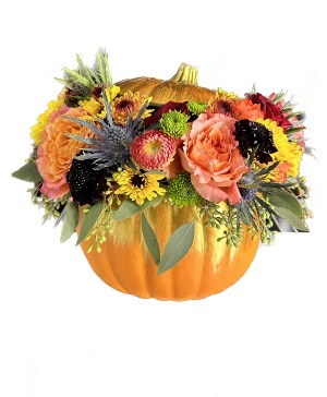 Wolfe's Thanksgiving Pumpkin Arrangement Fall Fresh Flowers