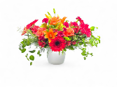 Wondrous Blooms 