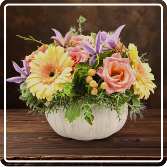 Wondrous White Pumpkin 