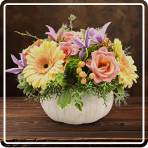 Wondrous White Pumpkin 