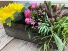 wood box with flowers and succulents flowers & succulents