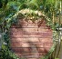 WOODEN & GREENERY ARCH CALL FOR AVAILABILITY