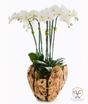 Wooden Orchids Arrangements 