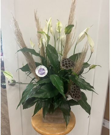 Wooden Planter with Peace Lily  in Hermitage, TN | IN FULL BLOOM FLOWERS + GIFTS