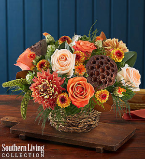 Woodland Bird’s Nest™ by Southern Living® in Valley City, OH | HILL HAVEN FLORIST & GREENHOUSE Woodland Bird’s Nest™ by Southern Living® in Valley City, OH | HILL HAVEN FLORIST & GREENHOUSE