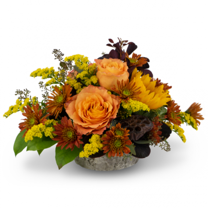 Woodland Breeze Arrangement