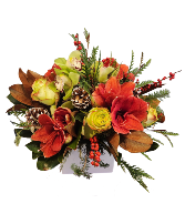 Woodland Christmas Cut flowers