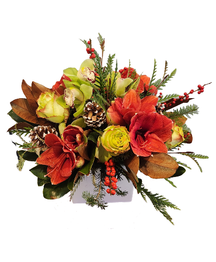 Woodland Christmas Cut flowers