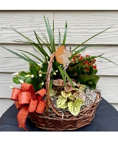 Woodland Hedgehog Basket European Garden