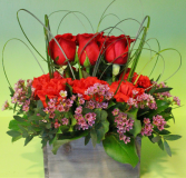 Woodland Rose Garden ***BEST SELLER*** Roses