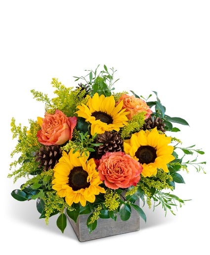 Woodland Sunshine Flower Arrangement