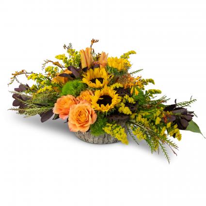Woodland Vibrance Arrangement