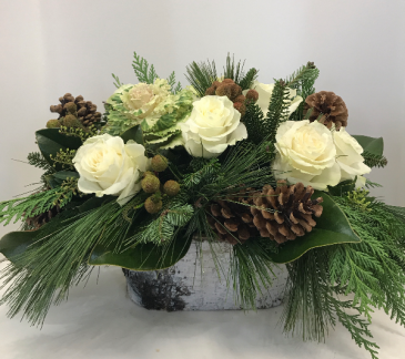 Woodland white birch in Northport, NY | Hengstenberg's Florist Woodland white birch in Northport, NY | Hengstenberg's Florist