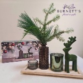Woodland Winter Décor set Gift Set