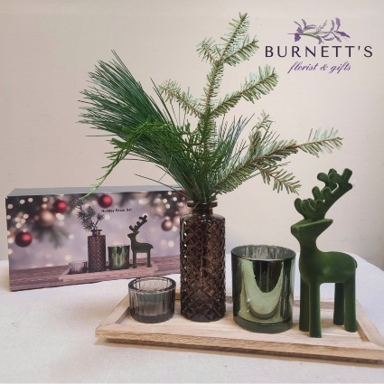Woodland Winter Décor set Gift Set