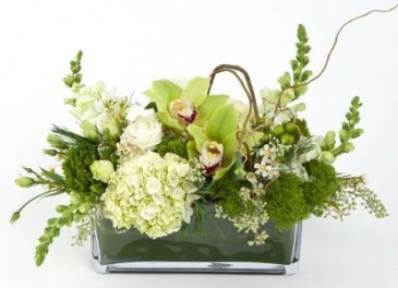 Woods Vased Arrangement, Compact