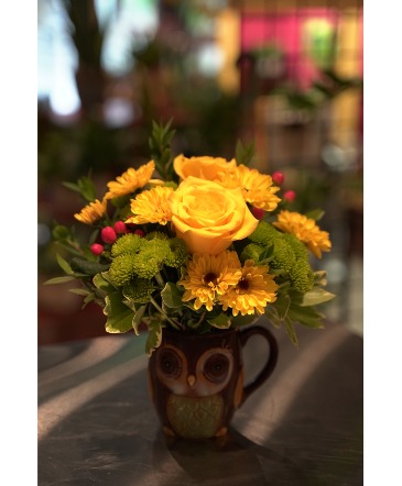 Woodsy Owl Decorative Mug  in South Milwaukee, WI | PARKWAY FLORAL INC.