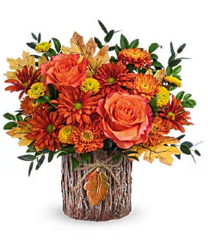 Woodsy Whisper T24T305 