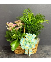 Woven Wishes 