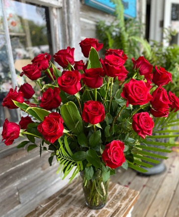 Wow Effect Two Dozen Red Roses  Fresh Flower Arrangement  in Key West, FL | Petals & Vines