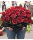 Wow me with 2 2 Dozen roses, standing wrap