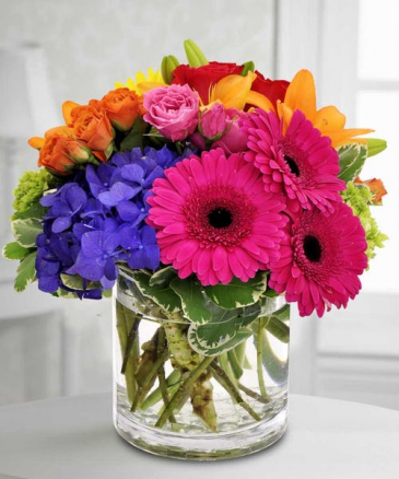Wowza Color! Low and Bright Spring
