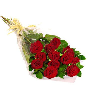 LONG STEM 50CM ROSES DOZEN WRAPPED ROSES