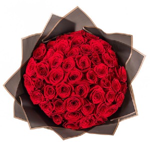 WRAPPED RED ROSES (NO BUTTERFLIES) 