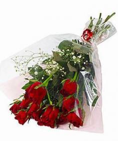 Category Image