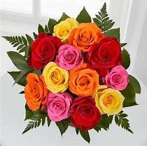 Wrapped Roses Dozen Mixed Colors