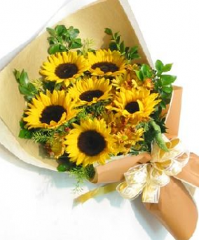 Wrapped Sunflower Bouquet 