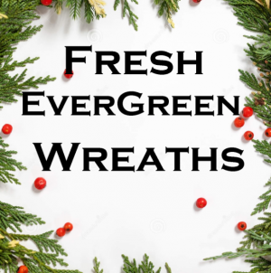 Large Fresh Evergreen Wreaths 