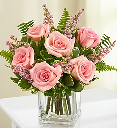 6 Pink Roses with filler in a cube vase! Very Popular! Filler will be wax  flower or baby's breath...seasonal.