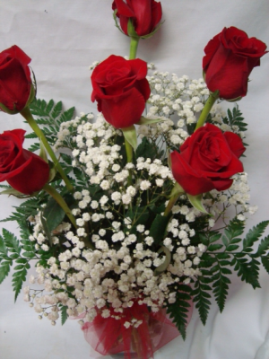   "Best Seller" Six Red Roses arranged in a  vase with baby's breath or wax flower.