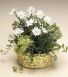 Purchase this funeral home arrangement