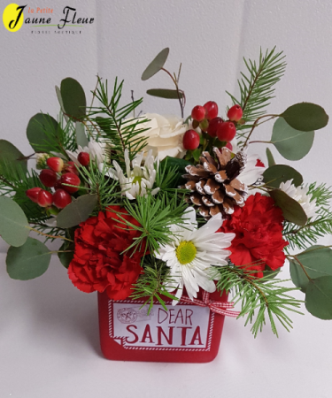 X-Mas Dear Santa
