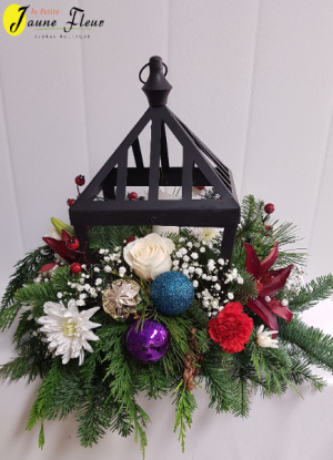X-Mas Light Up Christmas in Red Deer, AB | LA PETITE JAUNE FLEUR X-Mas Light Up Christmas in Red Deer, AB | LA PETITE JAUNE FLEUR