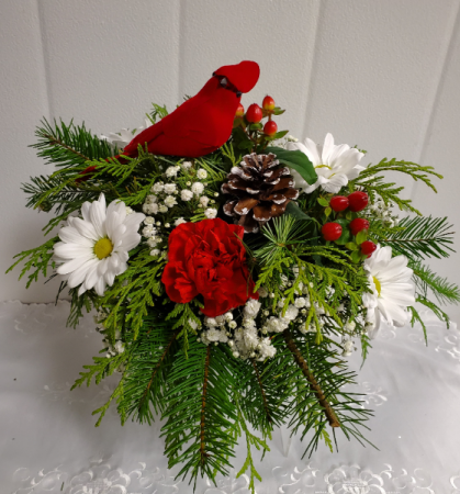 X-Mas-Natures Best SOLD OUT!