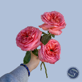 X-Press Your Love  in Arnaudville, Louisiana | La Jonction Florist Wedding & Event Planner