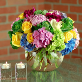 Beautiful Bright Surprises 