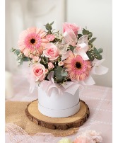 Peach Gerbera Daisy flowerbox 