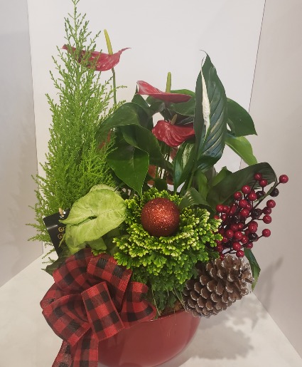 XL Christmas Planter Plants