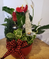 XL red ceramic dish garden Planter