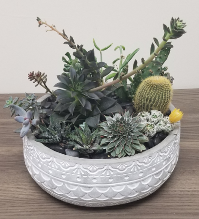 XL Succulent Garden - Stone Ceramic