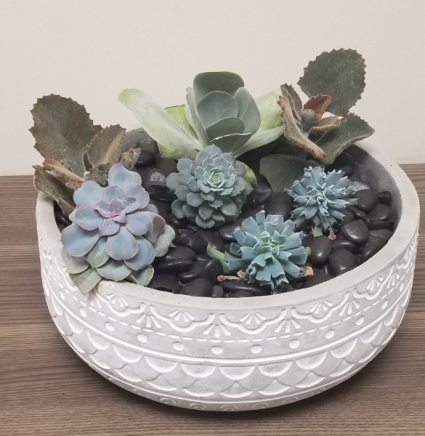 XL Succulent Garden - Stone Ceramic