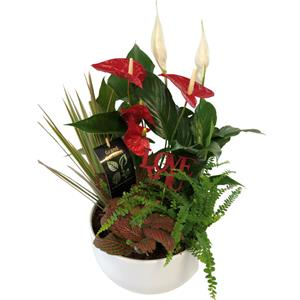 Anthurium Planter Dish Garden