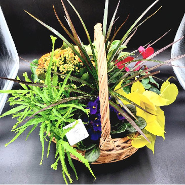XL Wicker Euro Garden Blooming Planter Basket in Saskatoon, SK | QUINN & KIM'S FLOWERS