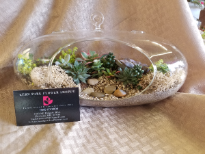 XLG Succulent Garden in a Glass Orb in Portland, OR | Kern Park Flower Shoppe XLG Succulent Garden in a Glass Orb in Portland, OR | Kern Park Flower Shoppe