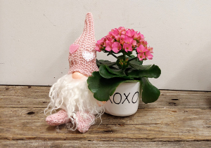 X&O Gnome with Kalanchoe Potted plant